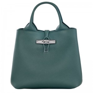 Blue Green Longchamp Le Roseau S Women Handbag | Ksa-912IAVORD