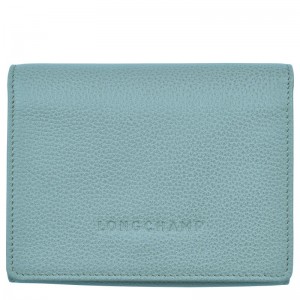 Blue Longchamp Le Foulonné Men Wallet | Ksa-894VEGZOX