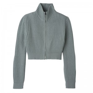 Blue Longchamp Zip Collar Short Women Cardigan | Ksa-860YIDHCA