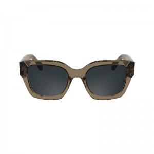 Brown Longchamp Acetate Women Sunglasses | Ksa-162XKMOFT