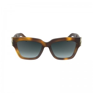Brown Longchamp Fall-winter 2023 Collection Women Sunglasses | Ksa-429TSZOWL