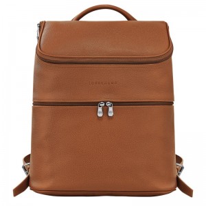 Brown Longchamp Le Foulonné Men Backpack | Ksa-892JEKPGI