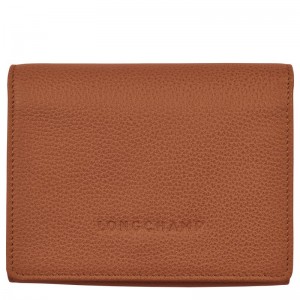 Brown Longchamp Le Foulonné Men Wallet | Ksa-417JXZCTH