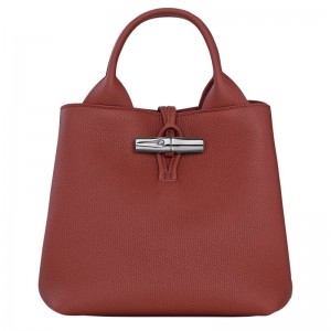Brown Longchamp Le Roseau S Women Handbag | Ksa-807KIEBAM
