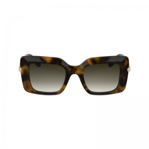 Brown / Green Longchamp Acetate Women Sunglasses | Ksa-563MXILTA