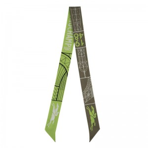 Olive / Multicolor Longchamp Eiffel Tower 1948 Women Headband | Ksa-856DWJQPY
