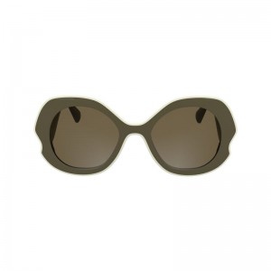 Olive / Multicolor Longchamp Plant Based Resin Women Sunglasses | Ksa-435KXDSWI