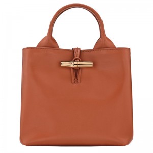 Orange Longchamp Le Roseau S Women Handbag | Ksa-798ITVHYX
