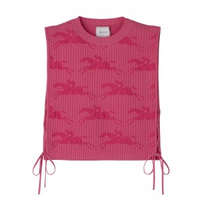 Pink Longchamp Knit Women Top | Ksa-496QHXZOK