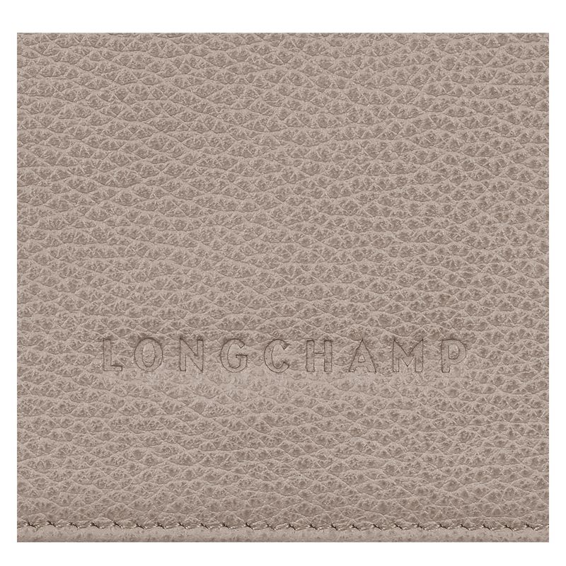 Beige Longchamp Le Foulonné Men Wallet | Ksa-108VBCYJP