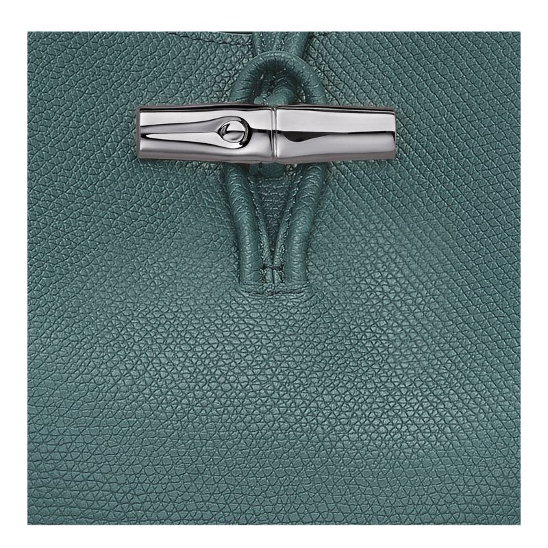 Blue Green Longchamp Le Roseau M Women Shoulder Bag | Ksa-492ARBYEG
