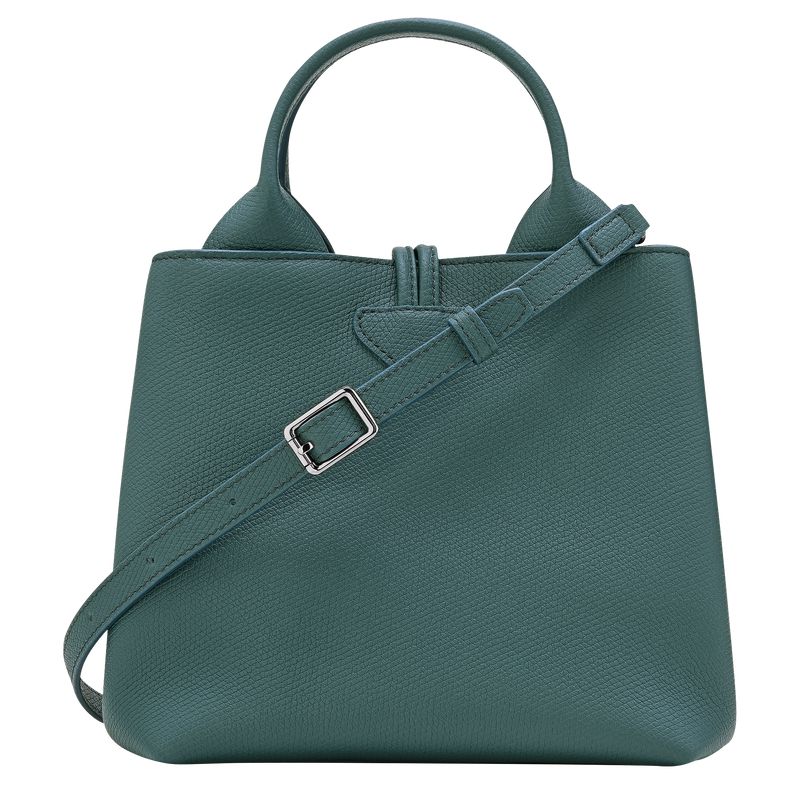 Blue Green Longchamp Le Roseau S Women Handbag | Ksa-912IAVORD