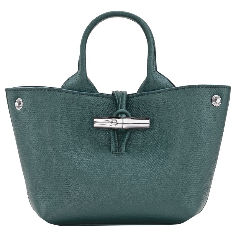 Blue Green Longchamp Le Roseau Xs Women Handbag | Ksa-254BLTDOE