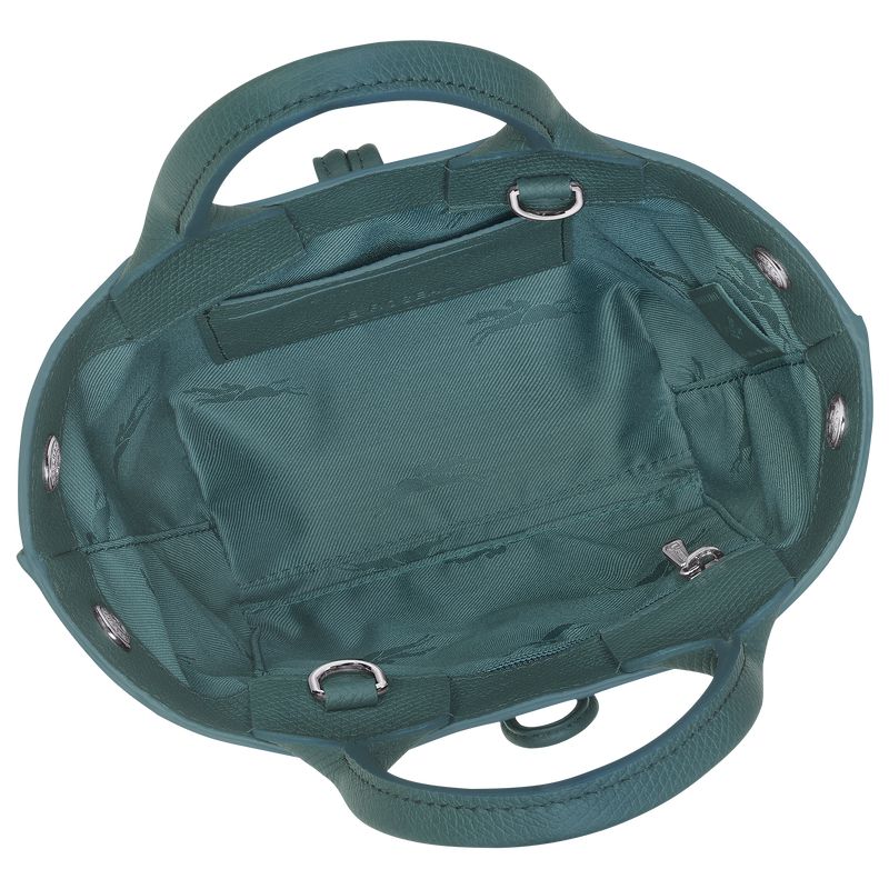 Blue Green Longchamp Le Roseau Xs Women Handbag | Ksa-254BLTDOE