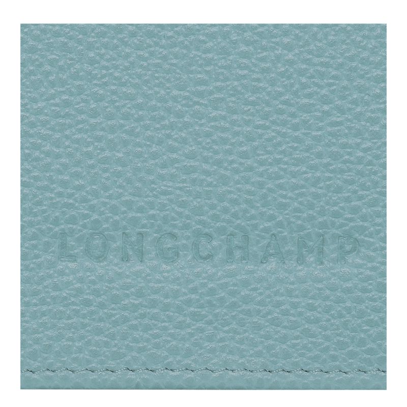 Blue Longchamp Le Foulonné Continental Women Wallet | Ksa-973RTUYAM