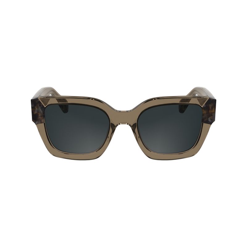 Brown Longchamp Acetate Women Sunglasses | Ksa-162XKMOFT