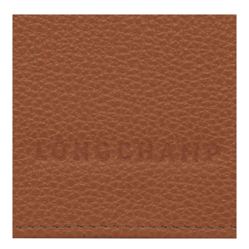Brown Longchamp Le Foulonné Continental Women Wallet | Ksa-842OYPJAN