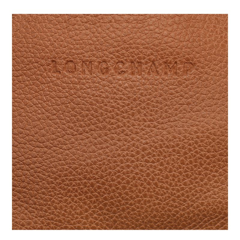 Brown Longchamp Le Foulonné M Men Belt Bag | Ksa-623VTSRZW
