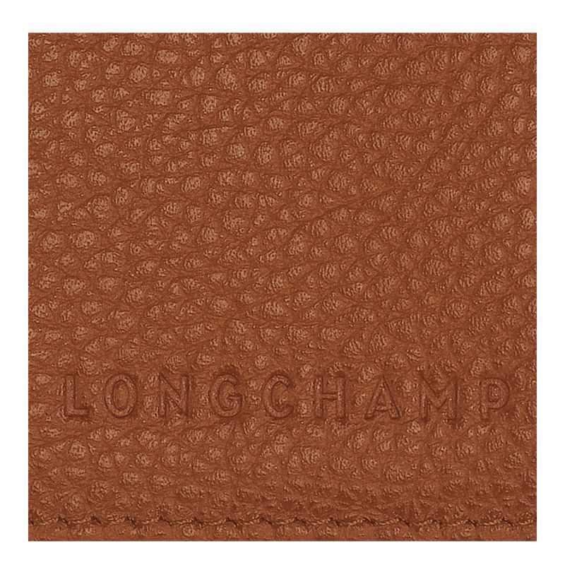 Brown Longchamp Le Foulonné Men Passport Holder | Ksa-349MRPIAC