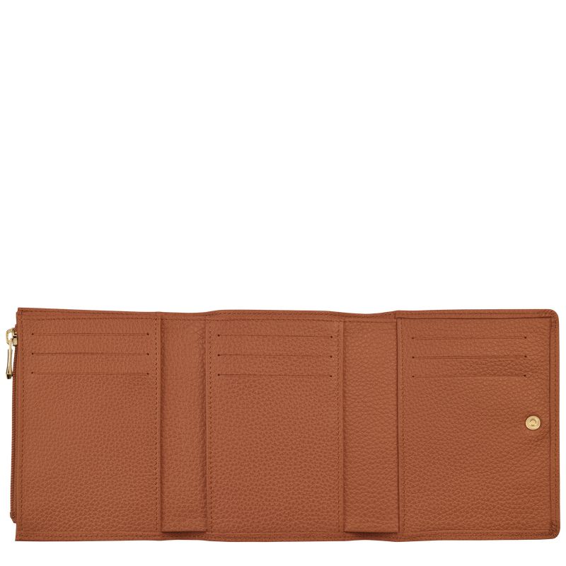Brown Longchamp Le Foulonné Men Wallet | Ksa-417JXZCTH