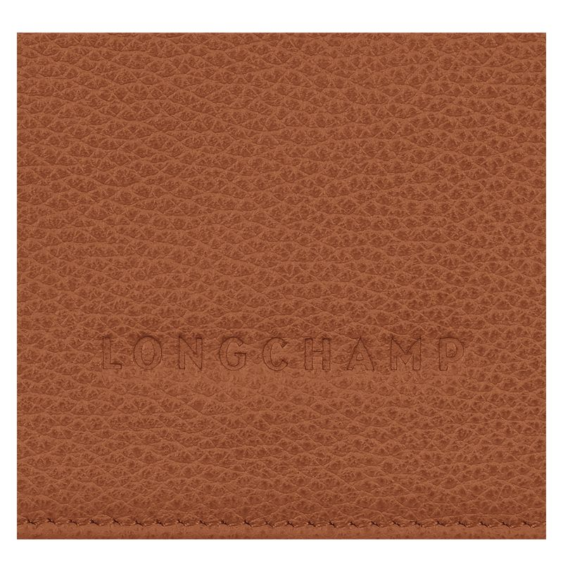 Brown Longchamp Le Foulonné Men Wallet | Ksa-417JXZCTH