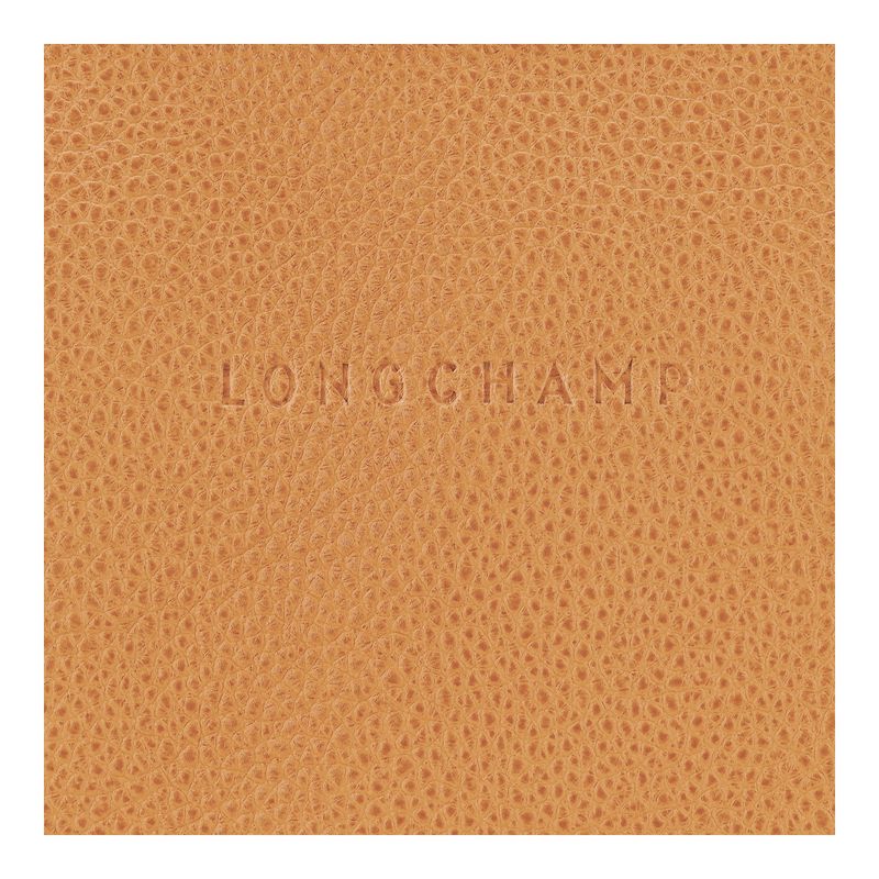 Brown Longchamp Le Foulonné S Women Crossbody Bag | Ksa-348UGHOZT