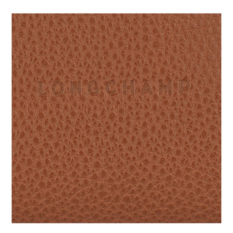 Brown Longchamp Le Foulonné Women Coin Purse | Ksa-463VGNHXT