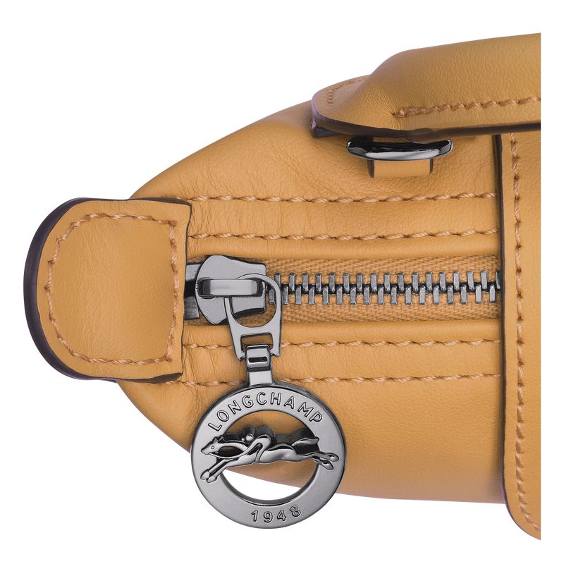 Orange Longchamp Le Pliage Xtra Xs Women Pouch | Ksa-250QLRYTU