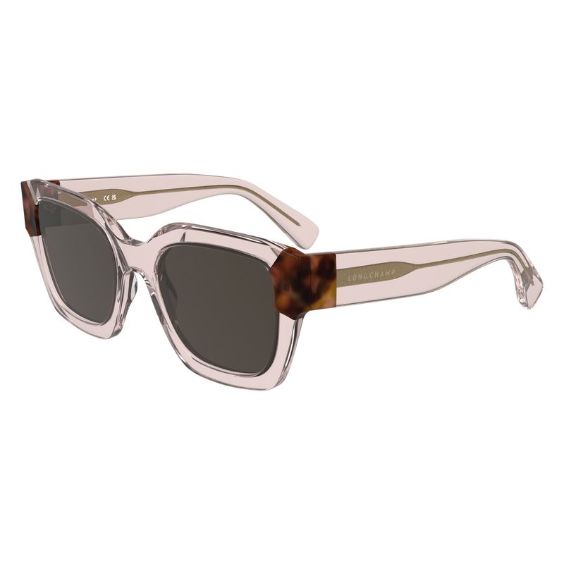 Rose Longchamp Acetate Women Sunglasses | Ksa-087KPHUDB